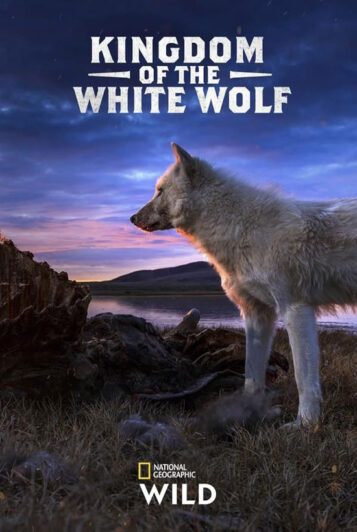 دانلود مستند سریالی Kingdom of the White Wolf 2019