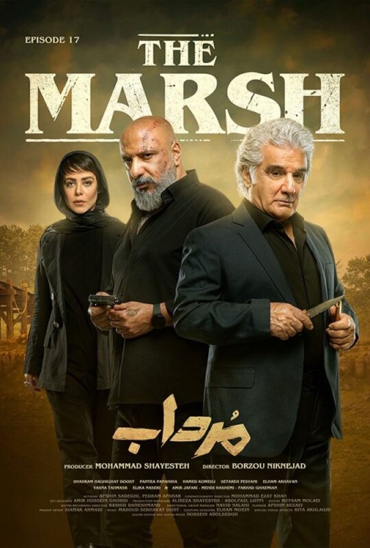 دانلود قسمت 17 سریال مرداب ❤️
